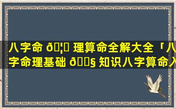 八字命 🦅 理算命全解大全「八字命理基础 🐧 知识八字算命入门」